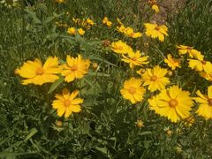 -永定河休闲森林公园