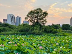 -森林公园(尖草坪区)