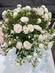 -雍禾植发全国连锁