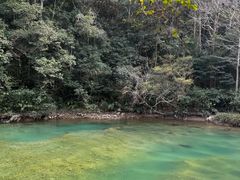 -龙湾潭国家森林公园