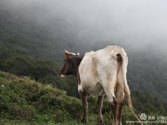 -北京灵山风景区