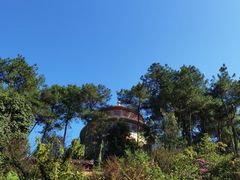 -铁山坪森林公园