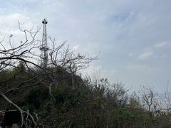 -紫金山山顶公园