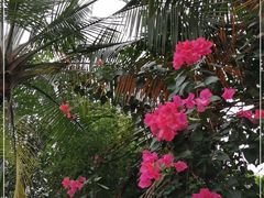 -云溪植物园