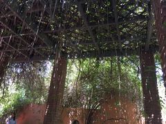 -马洛雷勒花园