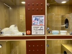 -上海七宝领展广场