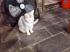 -张记牛肉面馆(天津路店)