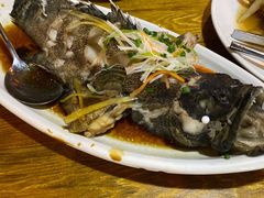 清蒸老虎斑-南海渔家•海鲜•正宗海南菜(海棠湾店)