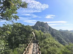 -大岭沟猕猴桃谷风景区