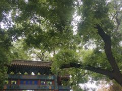 -北京国子监胡同