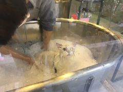 -PETKIT小佩宠物(昭化店)