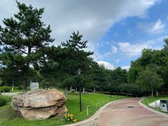-莫子山公园