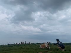 -芦芽山旅游度假区