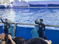 -秦皇岛乐岛海洋王国