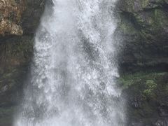 -龙苍沟森林公园