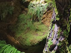 景观位-锦府盐帮·李宅(领展购物广场中关村店)