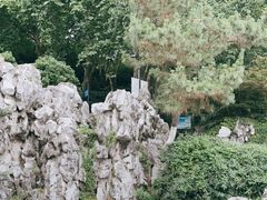 -菊花台公园