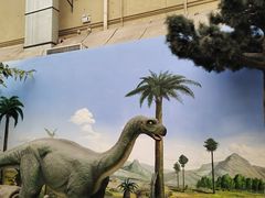 -国家自然博物馆