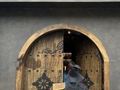 -雪灵魔法世界SHELLY’S TAROT(大良桂畔里店)