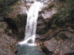 -九龙江国家森林公园