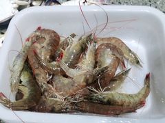 -蓝珊甄选海鲜自助·火锅大排档(近阿那亚店)