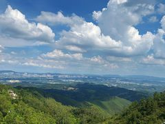 -山景山庄