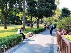 -晓港公园