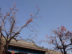 -北京石刻艺术博物馆(五塔寺)