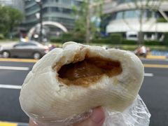大肉包-白玉兰食品(甜云店)