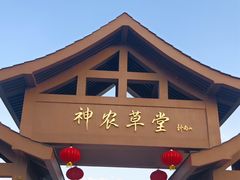 -广州神农草堂中医药博物馆