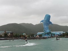 -帝企鹅自助餐厅•儿童岛•真企鹅(长隆企鹅酒店)