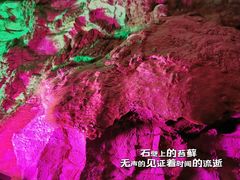 -八奇洞景区