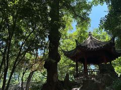 -秋霞圃