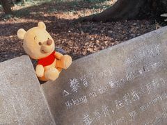 -西湖风景区十里琅珰-五云山