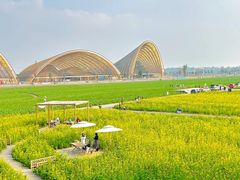 -中国天府农业博览园