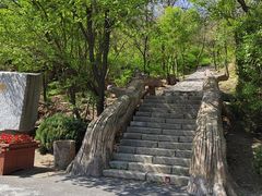 -金龙寺国家森林公园