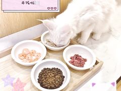-Double Rui宠物酒店