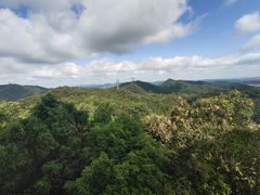 -大屏嶂森林公园