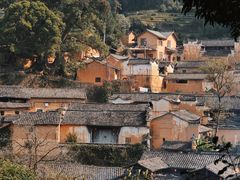 -杨家堂村