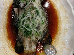 蒸石斑-东江海鲜酒家(艺都分店)