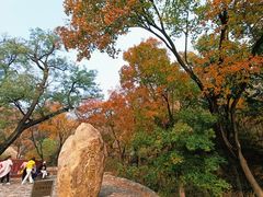 -北京西山国家森林公园