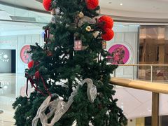 -棕榈MALL
