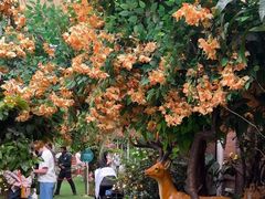 -The Grounds of Alexandria
