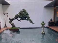 -觀芷隐轩