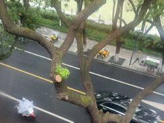 -意卡菲·欢乐聚会餐厅(华侨店)