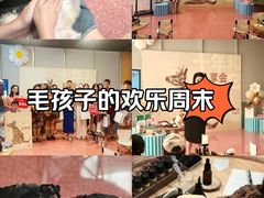 -帕帕拉兹宠物(亚洲旗舰店)