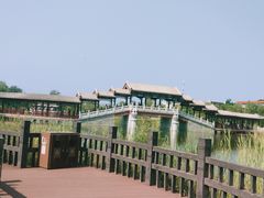 -西海子公园