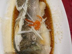 清蒸鲈鱼-惠丰堂饭庄·烤鸭·京味菜(西北旺·唐家岭店)