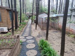 -林间山庄