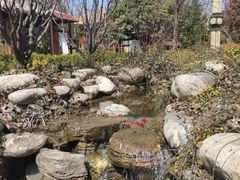 -太白山御龙湾温泉
